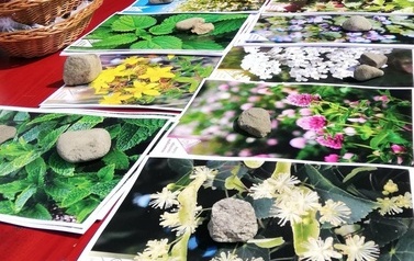 ZAKOŃCZENIE ROKU AKADEMICKIEGO 2022/2023 UNIWERSYTETU TRZECIEGO WIEKU 38
