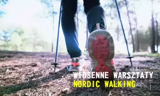 Zdjęcie do Warsztaty Nordic Walking i spotkanie z ekodoradcą