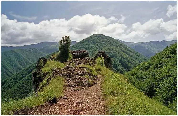 Trekkingi z halą sportową
