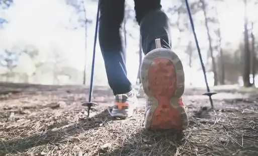 Zdjęcie do Warsztaty techniki Nordic Walking